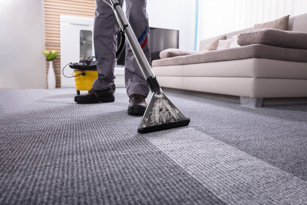 Thorough professional cleaning services for homes and offices